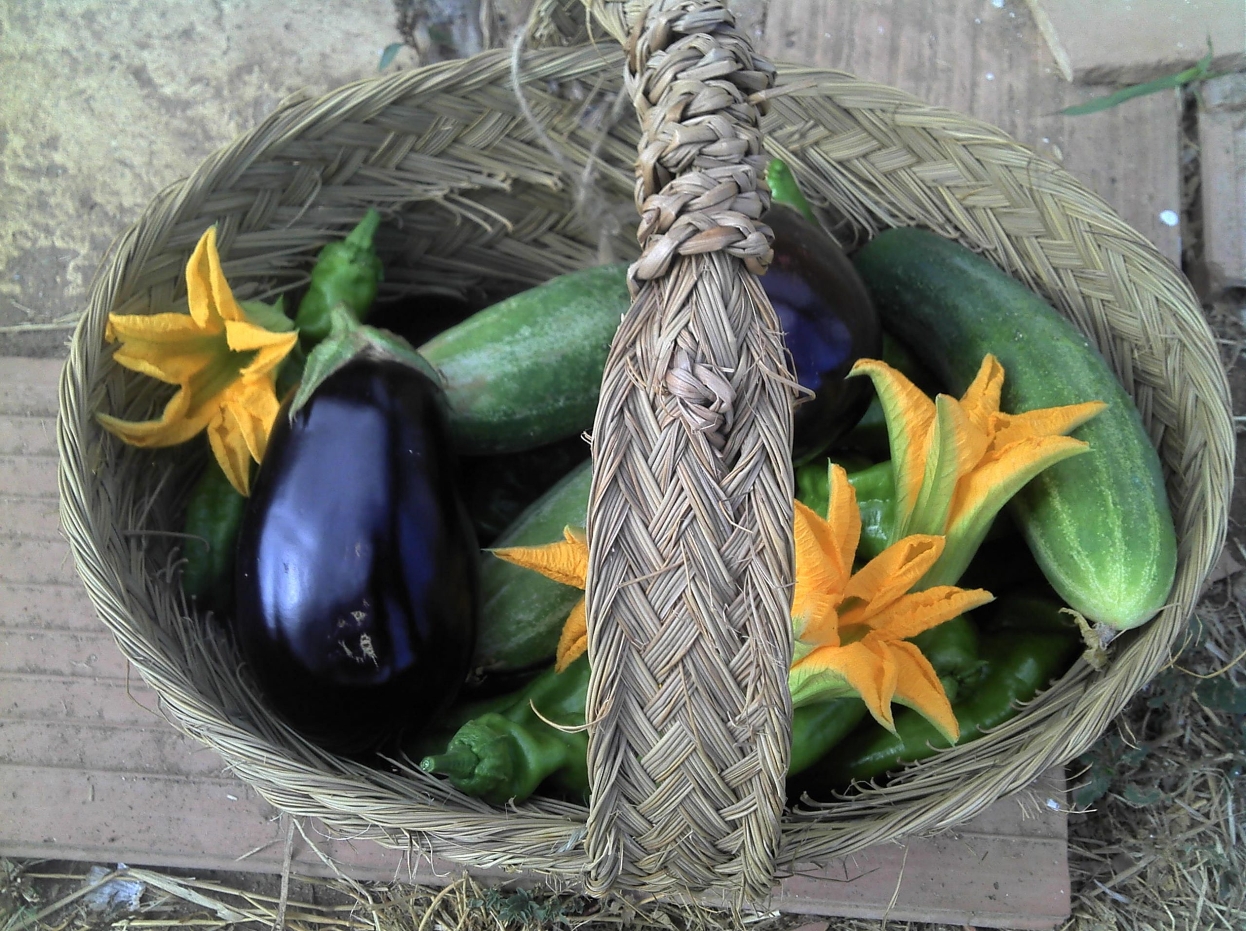 cesta verduras